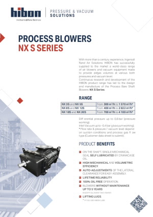 NX. S Series Process Blowers