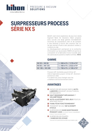 Surpresseur Process NX.S