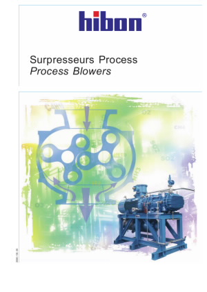 Process Positive Displacement Blowers